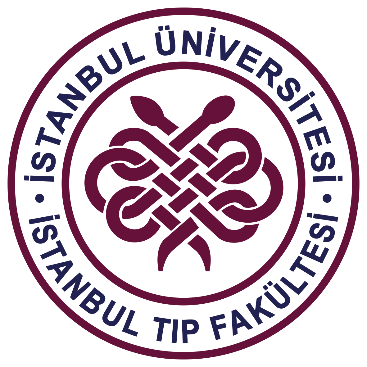 İstanbul Üniversitesi